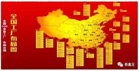 双胞胎强势进军禽料,目标全国前三